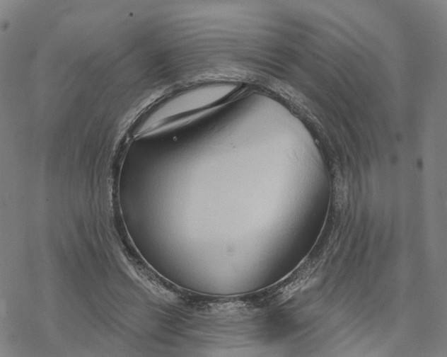 X0000076420446200610271712