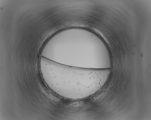 X0000076420447200610271712