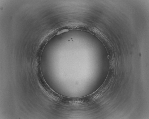 X0000076420448200610271712