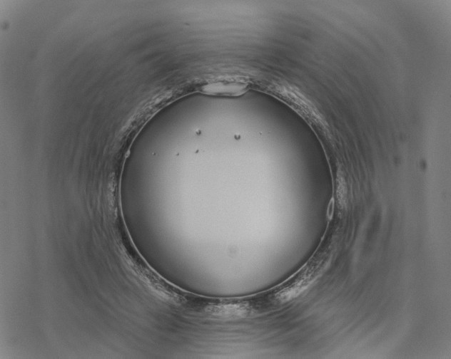 X0000076420449200610271712