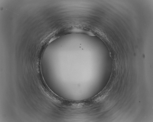 X0000076420450200610271712