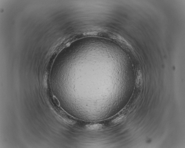 X0000076420452200610271712