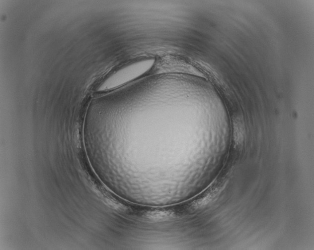 X0000076420453200610271712