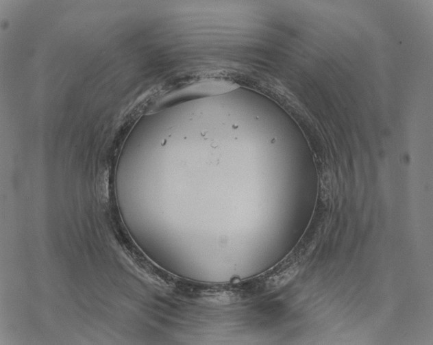 X0000076420454200610271712