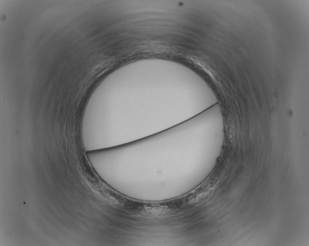 X0000076420455200610271712