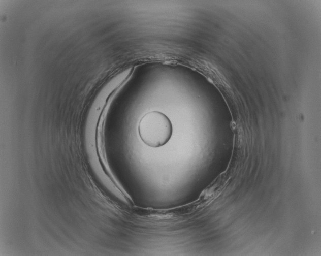 X0000076420457200610271712