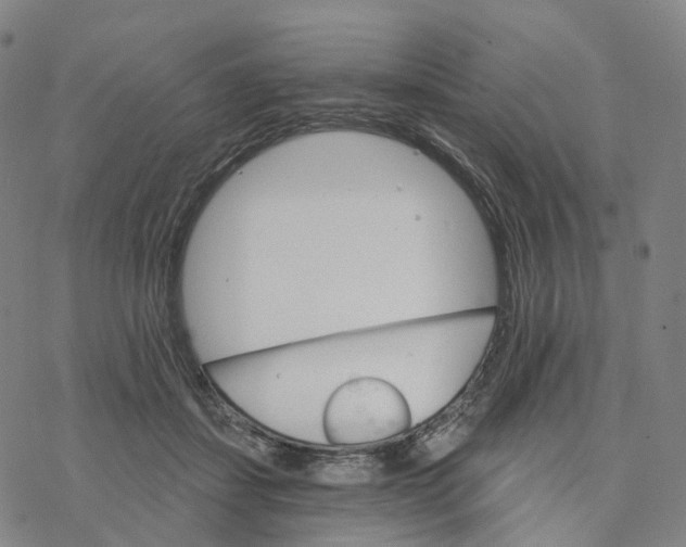 X0000076420459200610271712