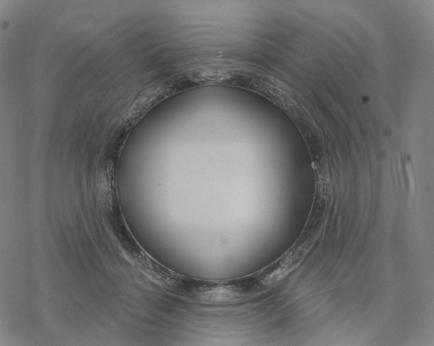 X0000076420460200610271712