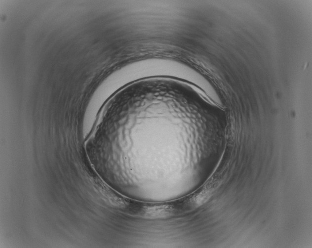 X0000076420461200610271712