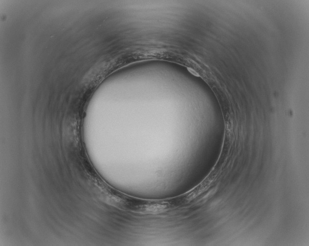 X0000076420462200610271712