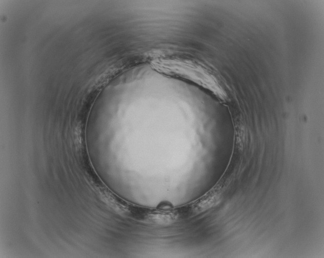 X0000076420466200610271712