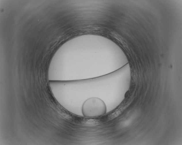 X0000076420467200610271712