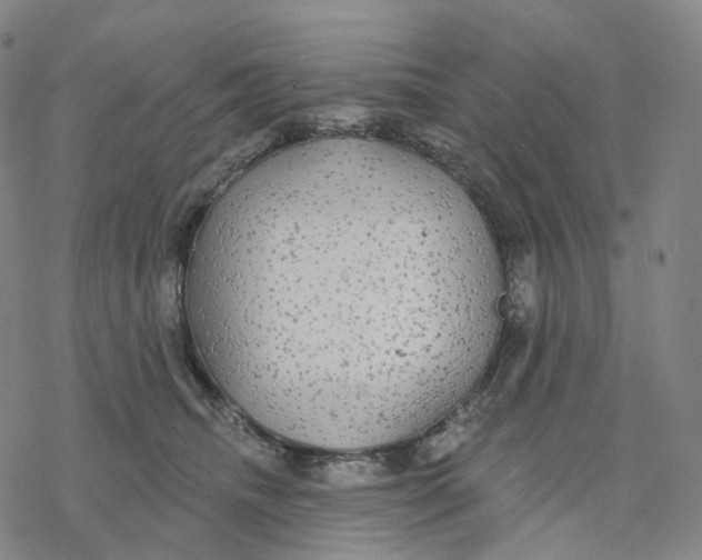 X0000076420468200610271712