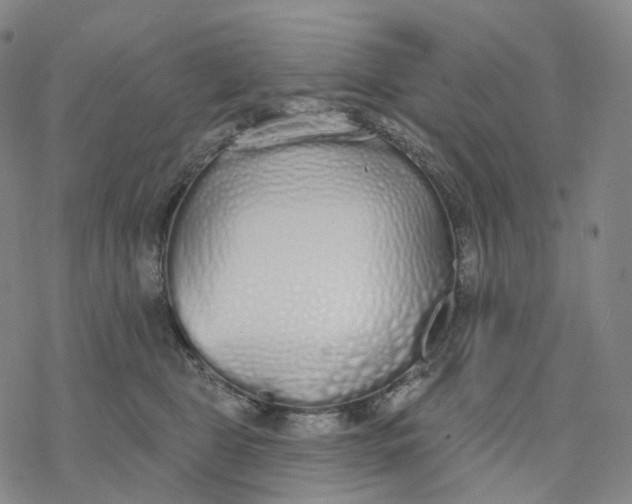 X0000076420469200610271712