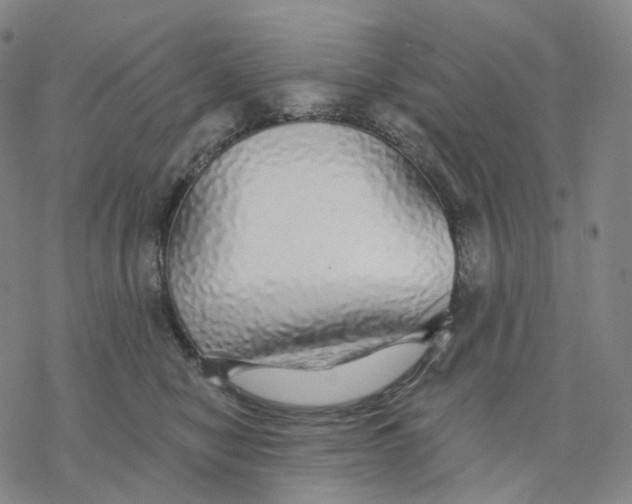 X0000076420470200610271712