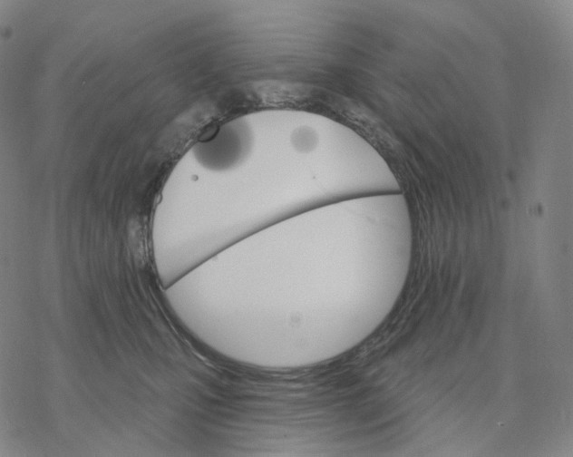 X0000076420471200610271712