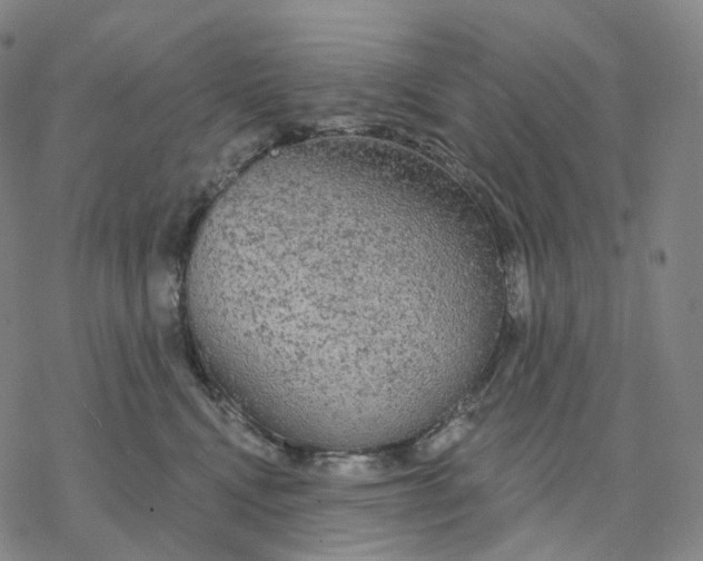 X0000076420472200610271712