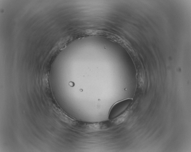 X0000076420473200610271712