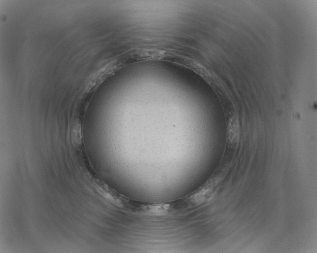 X0000076420474200610271712