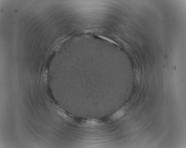 X0000076420475200610271712