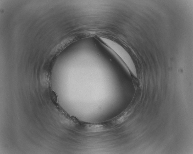 X0000076420476200610271713