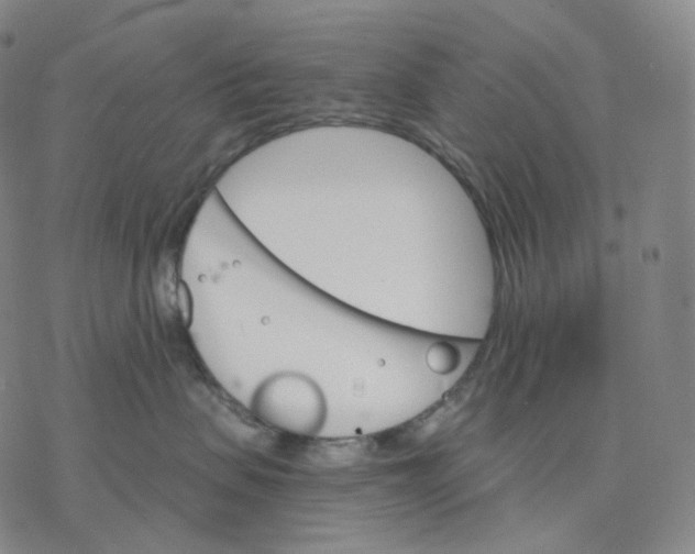 X0000076420479200610271713