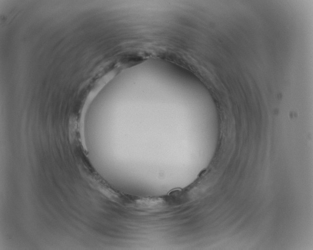 X0000076420480200610271713