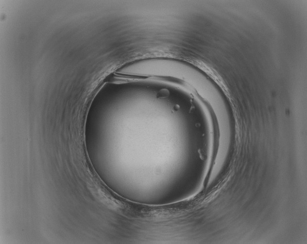 X0000076420481200610271712