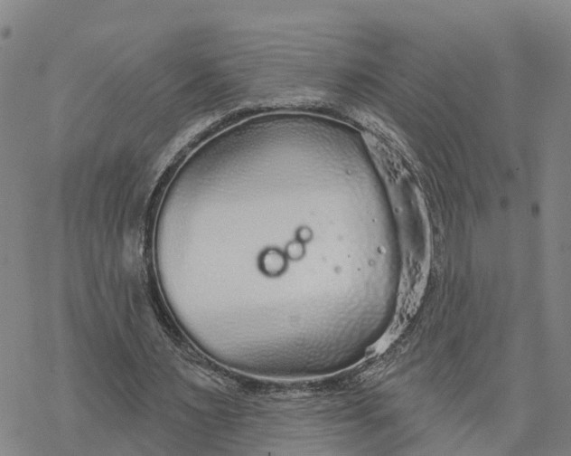 X0000076420483200610271712