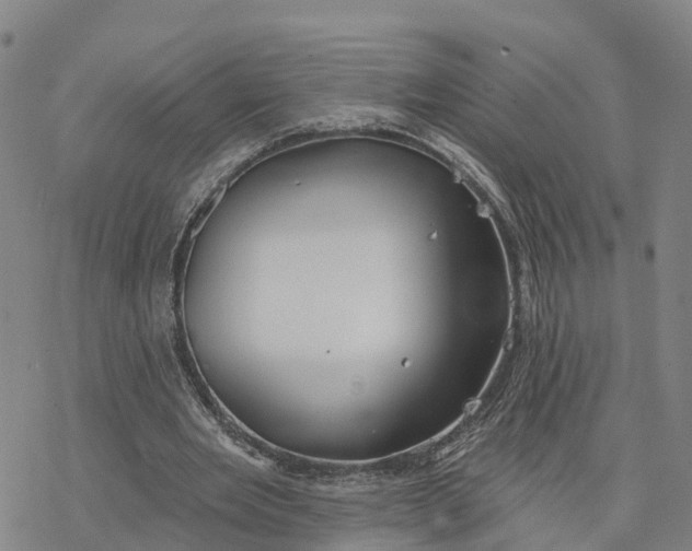 X0000076420485200610271712