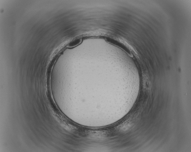 X0000076420486200610271712