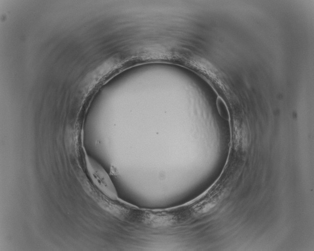 X0000076420487200610271712