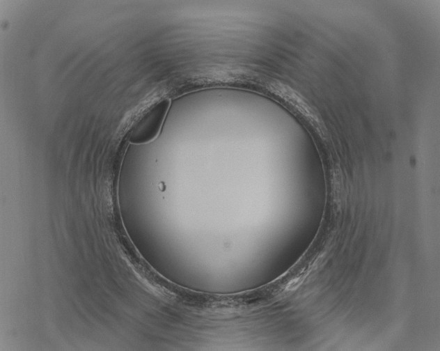 X0000076420489200610271712