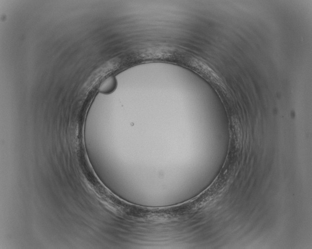 X0000076420490200610271712