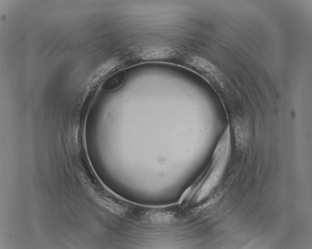 X0000076420491200610271712