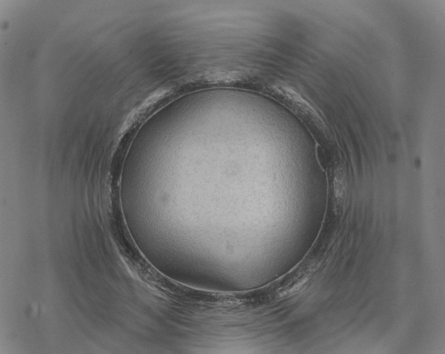 X0000076420492200610271712