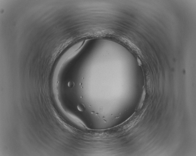 X0000076420493200610271712