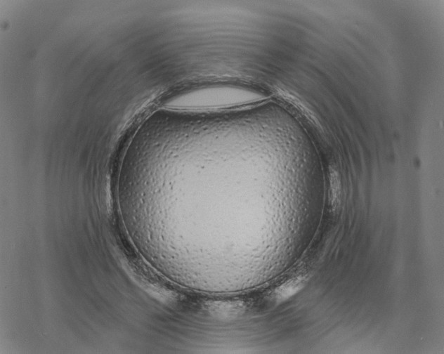 X0000076420494200610271712