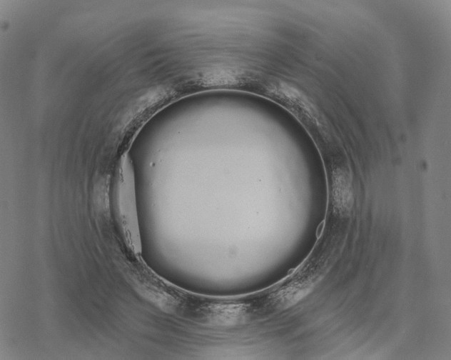 X0000076420495200610271712