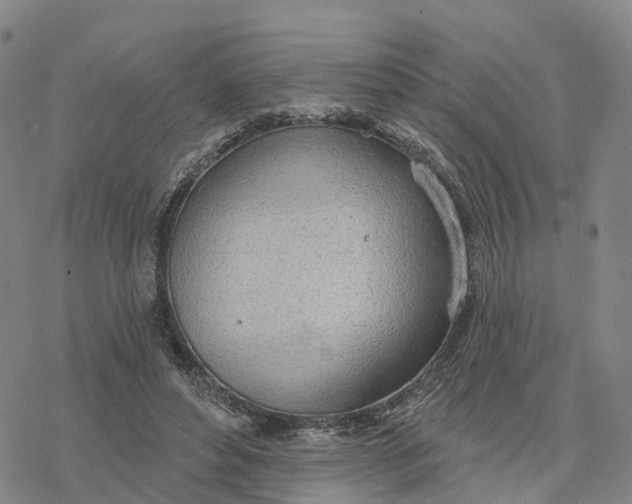 X0000076420496200610271712