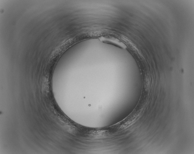 X0000076420497200610271712