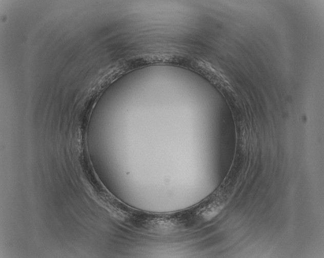 X0000076420498200610271712