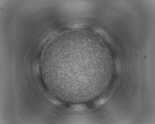 X0000076420499200610271712