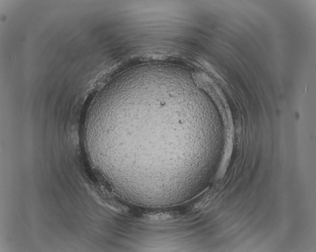 X0000076420500200610271711