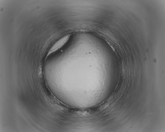 X0000076420502200610271711