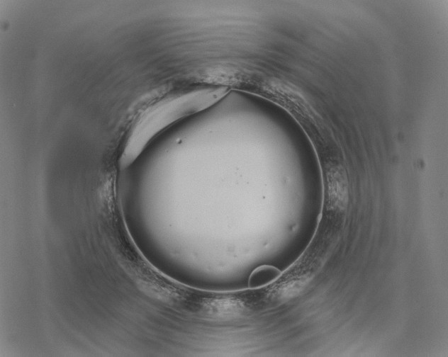 X0000076420503200610271711