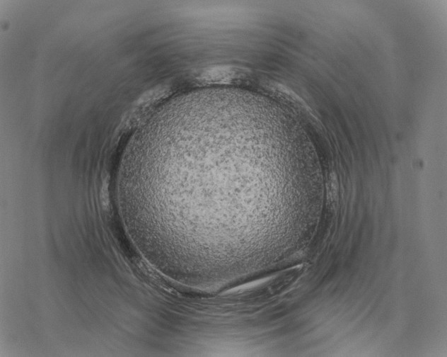 X0000076420504200610271711