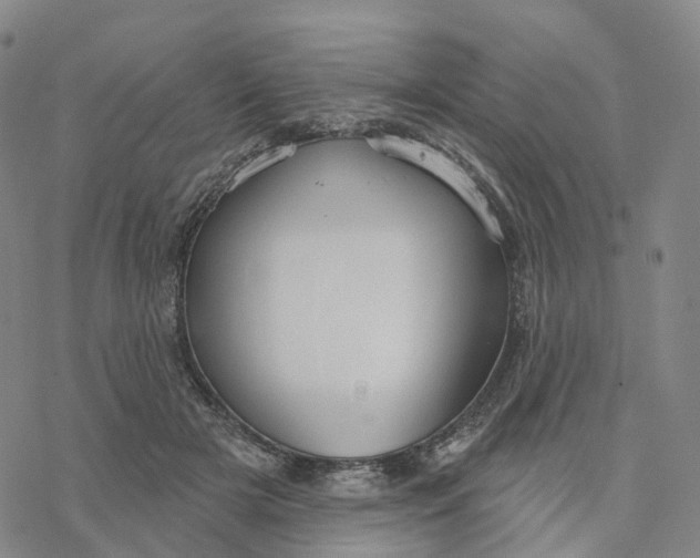 X0000076420505200610271711