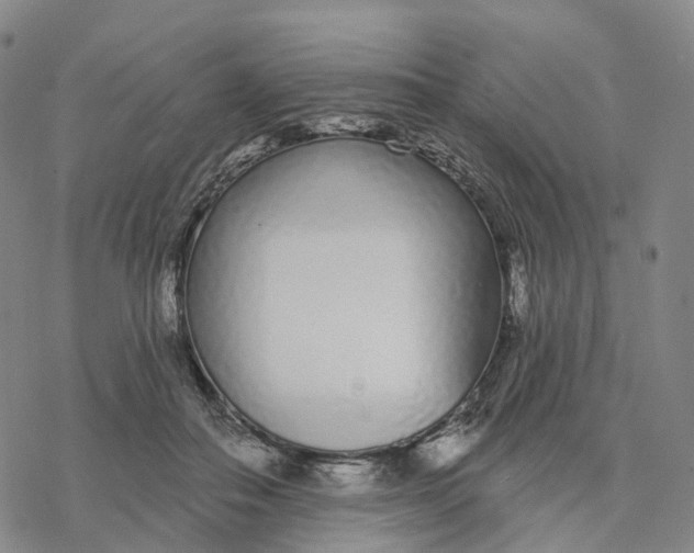 X0000076420506200610271711