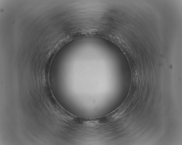 X0000076420508200610271711